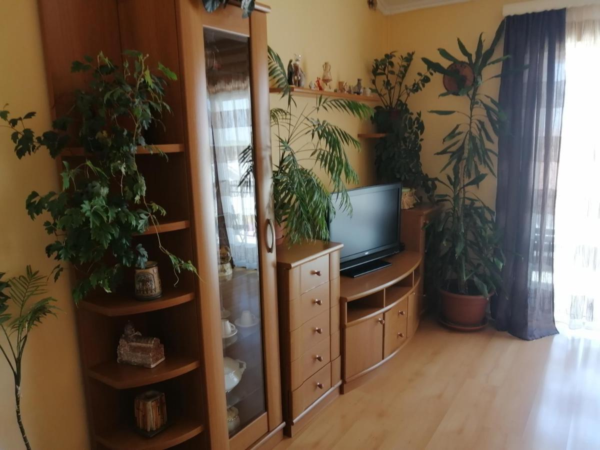 Apartment Goga *