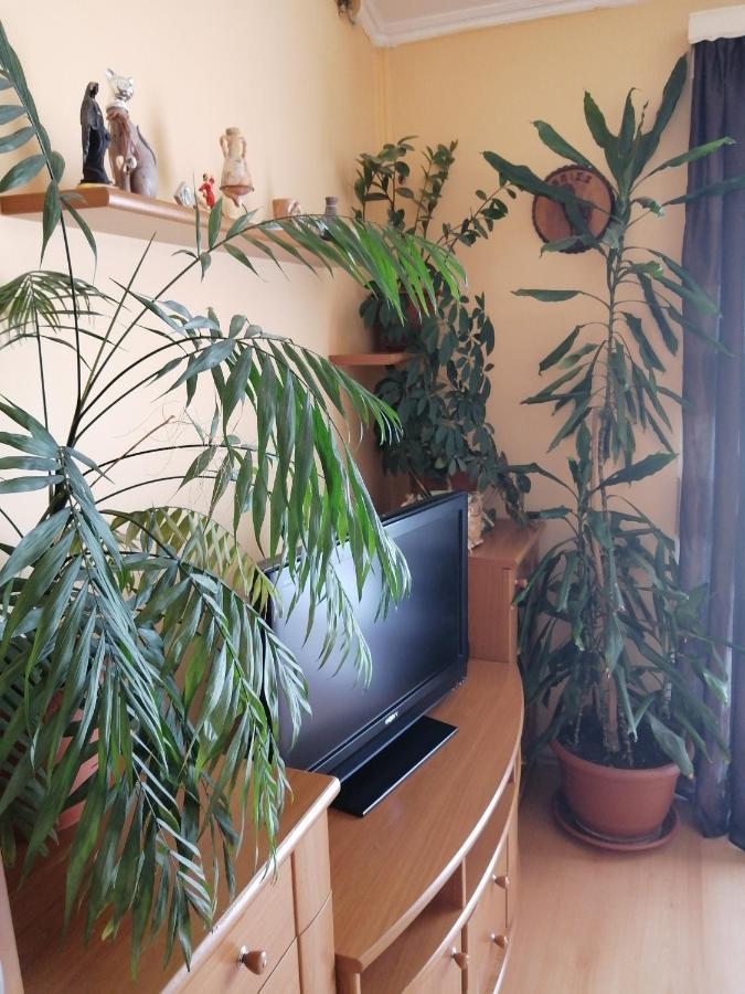 Goga Apartment *